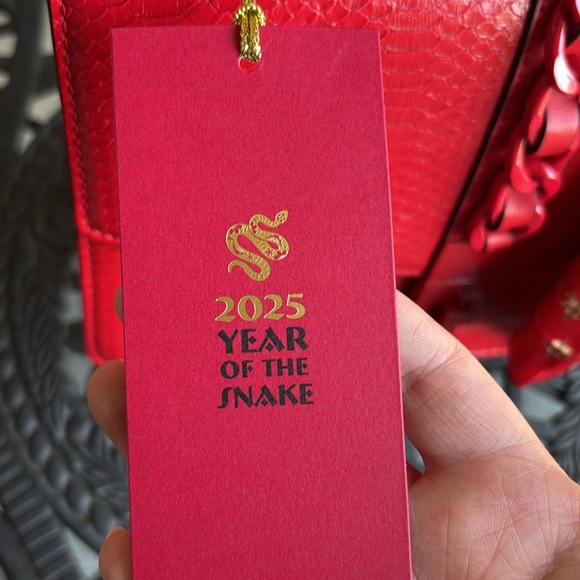 Aldo Year of the Snake Red Handbag - Picture 14 of 14